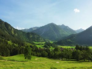 green rolling hills in the country