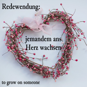 jemandem ans Herz wachsen (to grow on someone)