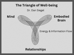 Diagram of the triangle of well being by Dr Dan Siegel showing the interconection, the energy and information flow, between mind, embodied brain and relationships