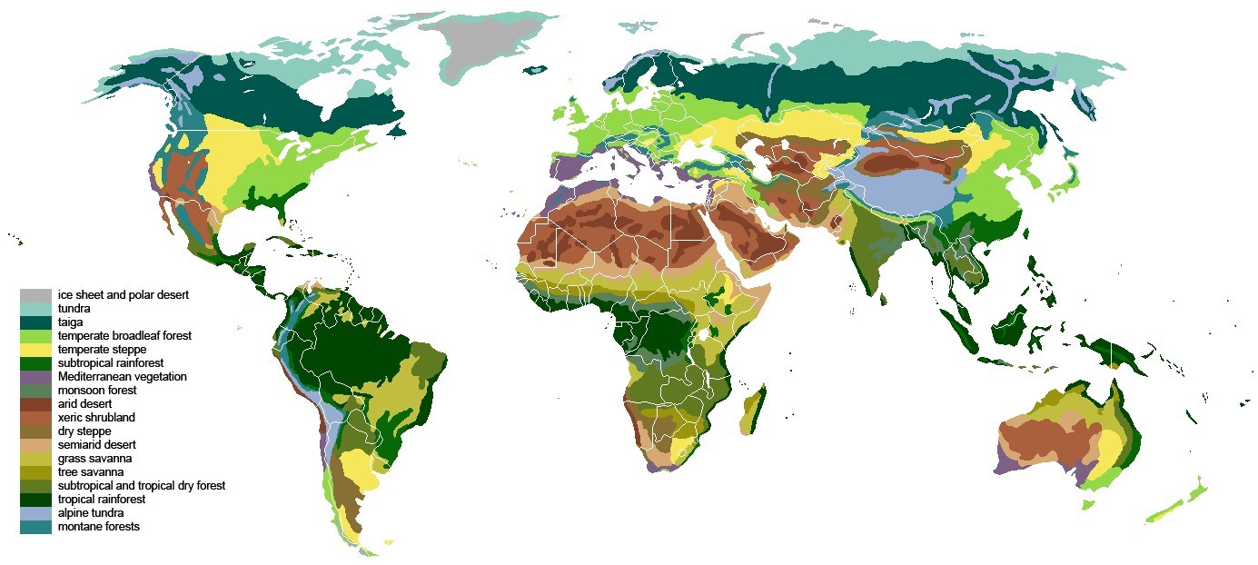 Terrestrial biomes