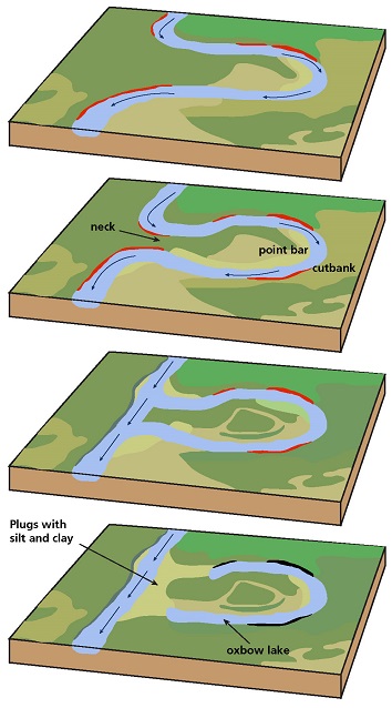 Oxbow lake formation in a meandering stream.