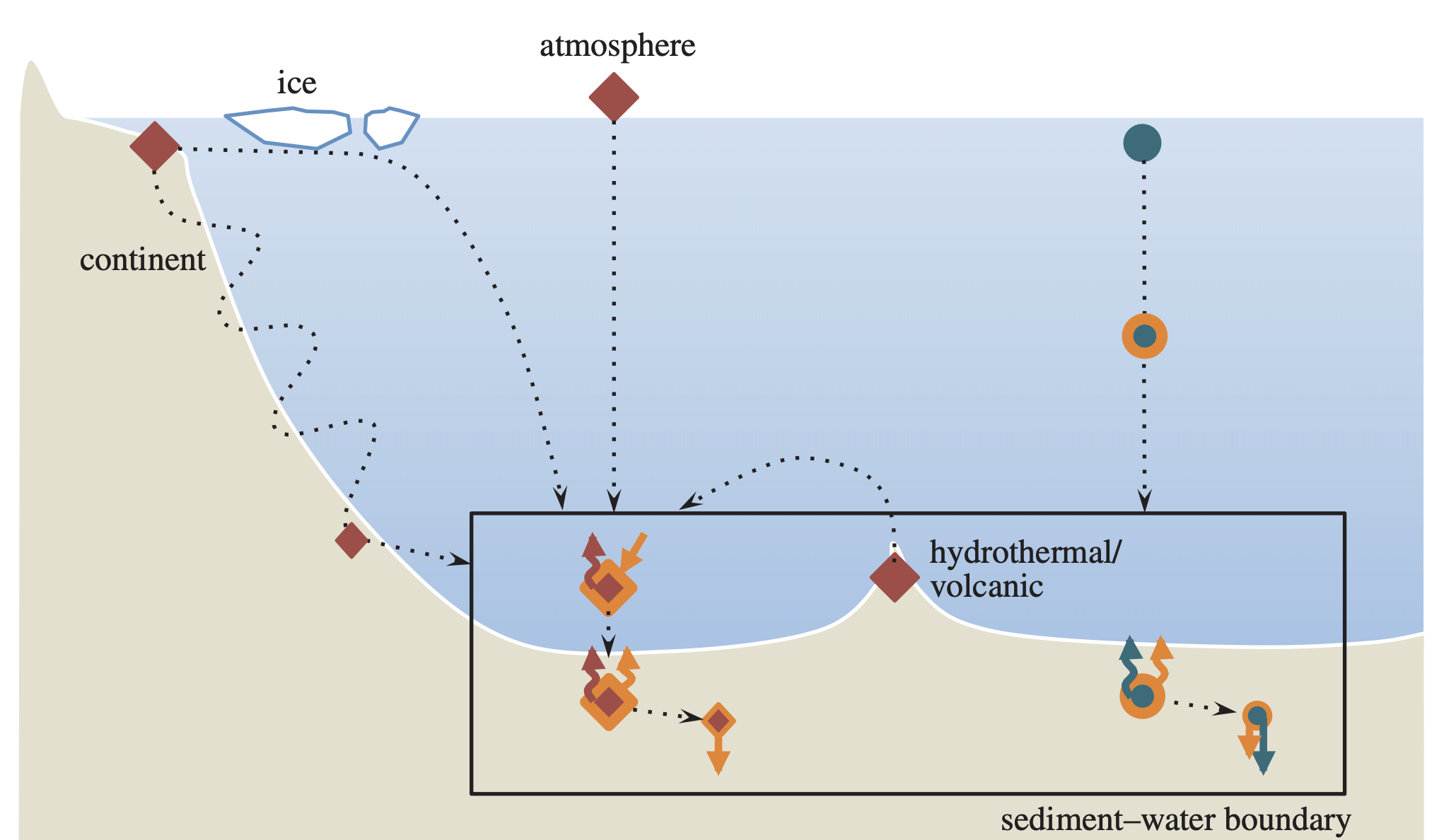 Pathways of dissolved elements in the oceans