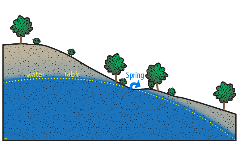 Spring formed where the water table intersects the land surface.