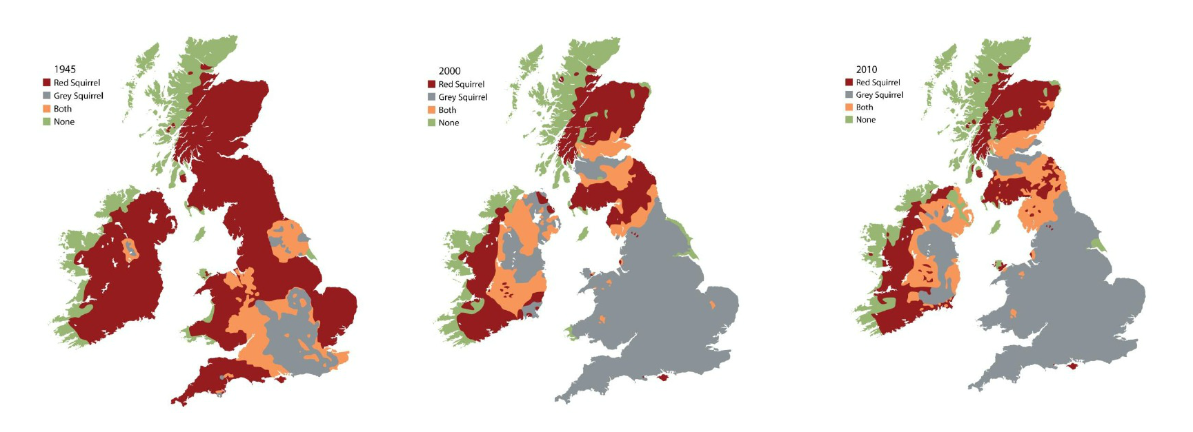 Distribution of squirrels over time