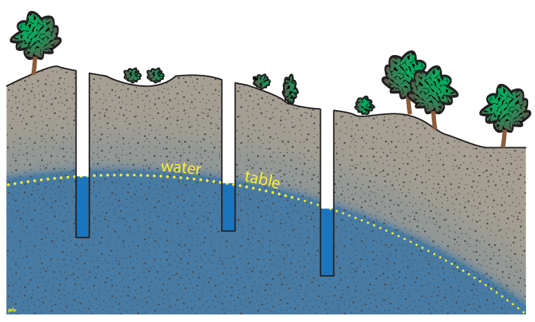 The water table marks the level to which water rises when wells are drilled into the saturated zone.