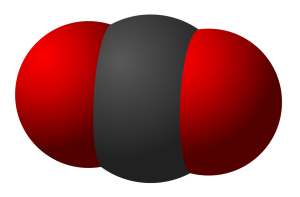 Space-filling model of a carbon dioxide molecule.