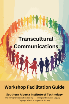 Transcultural Communications book cover