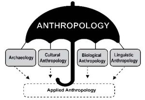 An image of an umbrella, labelled Anthropology, with its four subfields (Archaeology, Cultural Anthropology, Biological Anthropology, and Linguistic Anthropology) underneath it. Below the four subfields is anthropology's fifth, unofficial subdiscipline: applied anthropology.