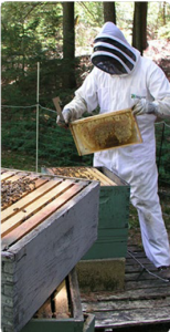 Beekeeper