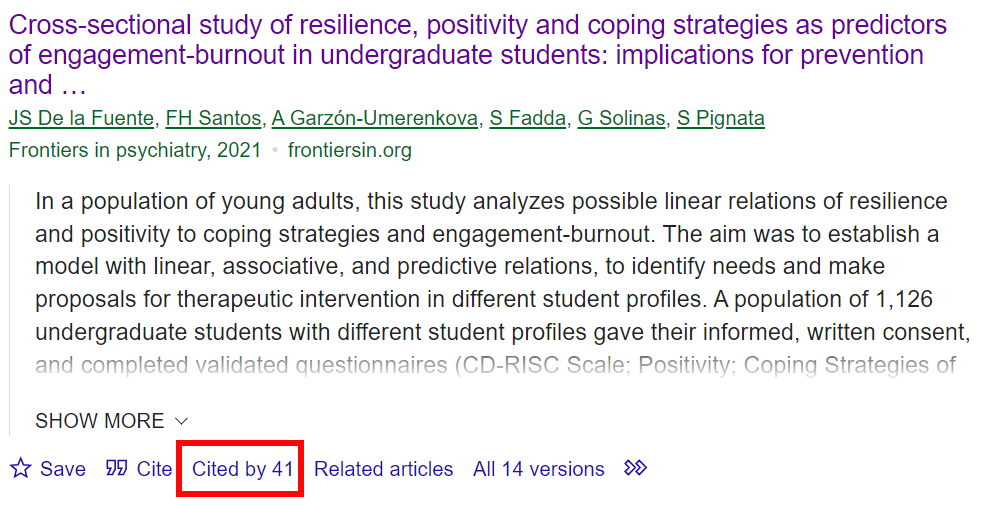 An article from the result list in Google Scholar, with the "cited by 41" link circled