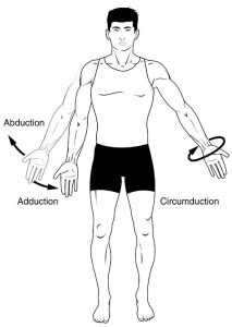 image shows abduction and adduction