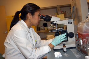 lab tech using a microscope