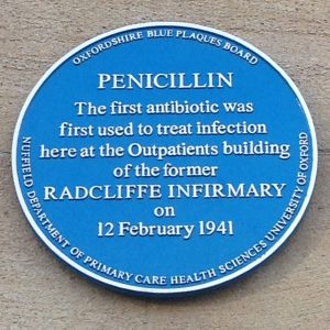 plaque of penicillin