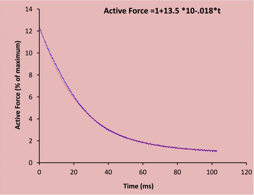 This graph shows the decline of force during the tetanic contraction above, through the middle range where the decline is exponential, which means the rate of decline is proportional to the actual force; when force is high the rate of decrease is great. When the force is low the rate of decline is slow.