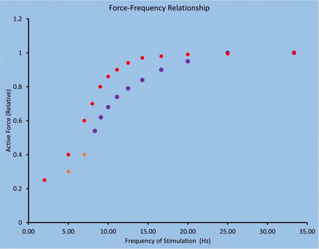 This graph looks like the one above showing before and after exercise. This one is slow and fast-twitch force-frequency relationship. The slow-twitch muscle is shown in orange, and it rises as lower frequency of stimulation, reaches a plateau between 15 and 20 Hz. In contrast, fast-twitch muscle requires a higher frequency of stimulation for force to rise. In this case, 25 Hz is needed for maximal activation.