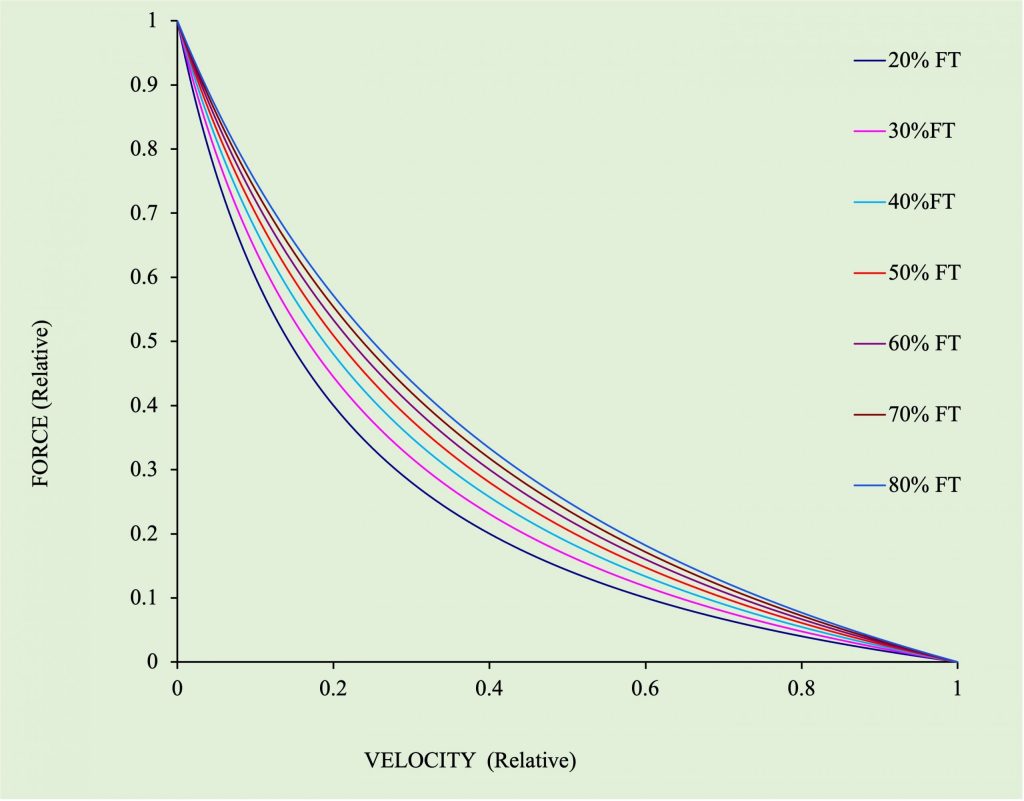 Several force-velocity curves are drawn here, representing models of muscles containing 20, 30, 40, 50, 60. 70, 80 % fast-twitch fibre content. They are all normalized to 1 and 1 on the two axes, indicating that maximum isometric force and Vmax are not affected by these different proportions. The difference between the curves is the magnitude of curvature. As % FT increases, there is less curvature, so the most bent of these curves is the one for 20% FT and the least bent is the one for 80% FT.