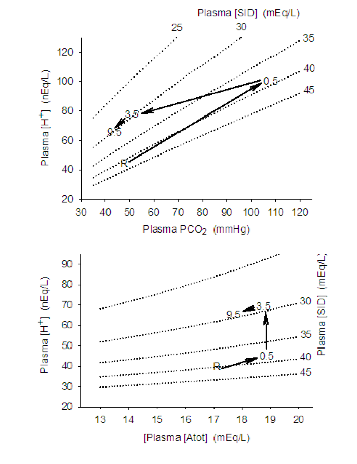 Two graphs are presented in this figure. The top one shows plasma H+ concentration in nanoequivalents relative to plasma PCO2 in mm Hg. There are 4 straight dotted lines representing the relationship at 25, 30, 35, 40 and 45 milliequivalent plasma strong ion difference. These lines are arranged from top to bottom in this order, with slope decreasing as you go from 25 to 45 mEq/L. Superimposed on these lines are solid lines showing the transition from rest (H+ = 40 mEq/L and 47 mm Hg PCO2) to .5 min (H+=85 nEq/L and PCO2 = 105 mm Hg) to 3.5 min (87 nEq/L and 50 mm Hg) and finally 9.5 min (65 nEq/L and 45 mm Hg).In the lower graph, Plasma H+ concentration in nEq/L is plotted against Plasma Atot concentration in mEq/L. There are 4 dotted lines representing 25, 30, 35, 40 and 45 mEq/L strong iion difference and these lines are distributed from top to bottom in this order with slight decrease in slope as you go from top to bottom. The values obtained during high intensity exercise are indicated with solid arrows and time points similar to the upper graph. At rest plasma H+ concentration is 36 nEq/L and plasma Atot is 17 mEq/L. Subsequent values are 40 and 29 at 0.5 min, 65 and 19 at 3.5 min and 60 and18 at 9.5 min.