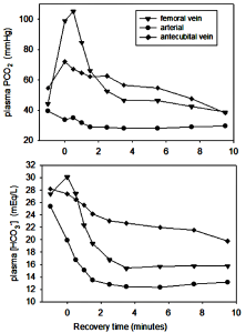 Two graphs are shown here, illustrating the time course of change in a number of acid-base related variables during and following the intense 30 s of exercise shown in the previous figure. In the top graph, Plasma PCO2 is plotted for arterial, antecubital vein and femoral vein. Arterial PCO2 decreased during the exercise and decreased further during recovery, as would be expected for the excessive ventilation this exercise would elicit. Blood draining from the leg, where most of the exercise was located shows a very large increase at the end of the exercise and a slight further increase early in recovery before falling dramatically to the resting value. Antecubital vein blood also increased in PCO2, but to a much lesser extent than the femoral vein blood. During the next 10 min, PCO2 here returned to the control or resting level. The bottom graph shows plasma bicarbonate for blood sampled from the same three locations. Bicarbonate is observed to decrease in all three locations. Arterial blood bicarbonate falls to 20 mEq/L by the end of hte exericse and 12 by 4 min with no further change. Femoral vein bicarbonate rises slightly at the end of the exercise, but ehn falls dramatically and parallel to arterial bicarbonate. Antecubital vein blood bicarbonate falls gradually over time to a value of about 20 mEq/L after 10 min of recovery.