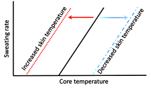 This is a graph of sweating rate vs core temperature. Sweating rate increases with increases in core temperature. This is indicated by 3 lines showing higher sweat rate as core temperature increases. A solid black line is in the middle, indicating the average response. A red dashed line to the left indicates rising sweat rate at a lower core temperature and a blue dashed line on the right indicates higher core temperature needed for a give rate of sweating when skin temperature is lower.