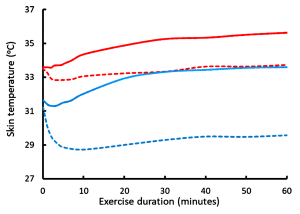 This graph shows the change in skin temperature over the course of an hour of exercise in a warm or cool environment with wind speed of 0.7 km h -1 or 10.8 km h -1. In the warm envirionment with low wind speed, skin temperature increases from 33.5 to about 35 degrees. With high wind speed, skin temperature initially decreases from 33.5 to 34.9, then slowly rises to 33.2. In the cool environmnent, skin temperature rises from 31.8 to 33.2. With the higher wind speed, skin temperature falls to 28.8 in the first 10 min then slowly rises to 29.3 by 40 min of exercise.