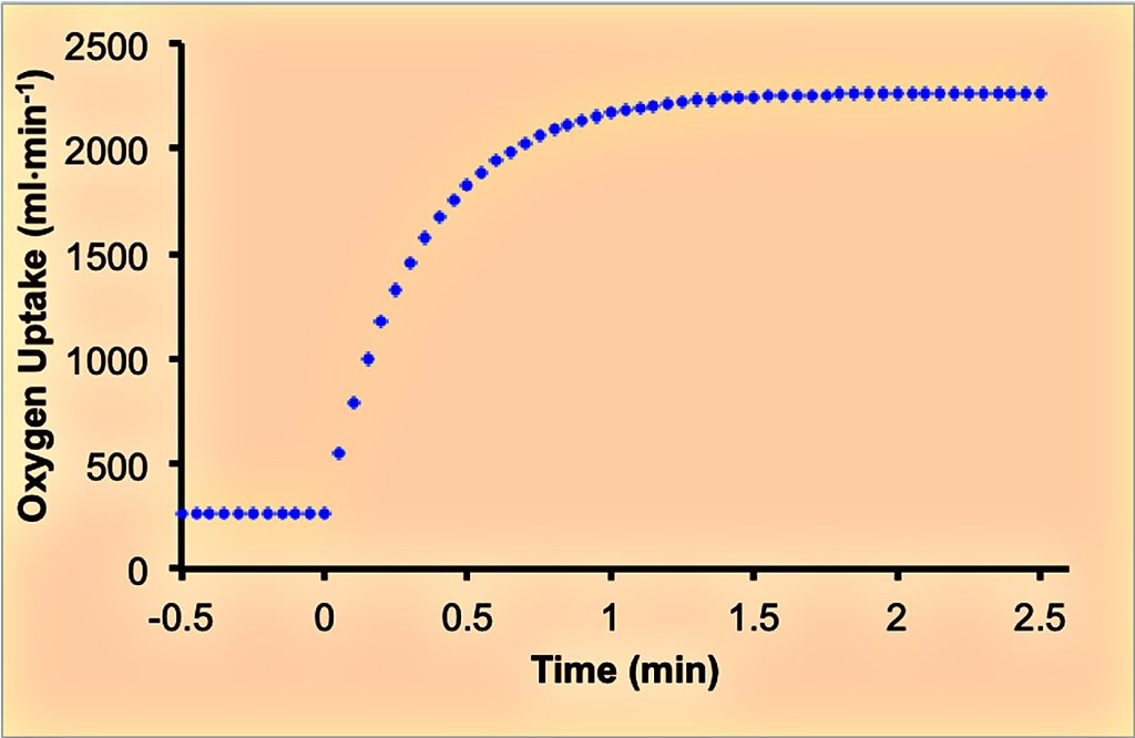 This graph shows the exponential rise in oxygen uptake at the beginning of exercise; rising from the resting level to a steady state withing 2 min. The increase is initially rapid, but slows as the steady state is approached.