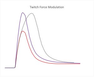 The rise and fall of force associated with a twitch is shown. Two larger twitch contractions are also shown; one with a faster rate of rise of force and one with a similar rate of foce increase, but a prolonged rising force.