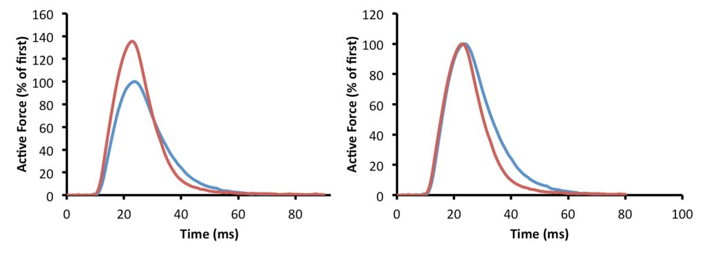 Two graphs are shown, each illustrating two twitch contractions: one occurring first in a staircase sequence and one occurring later in the staircase. On the left, the two contractions are normalized to the first one, such that the amplitude of the first is 100 % and the amplitude of the second is 140%. The time-course of the rise if force is similar, but relaxation appears to be different. On the right, the two contractions are normalize to show them the same height (100%). Now, the relaxation phase is more obviously different. The twitch obtained later in staircase is faster. Relaxation is slower in the first contraction of the sequence.