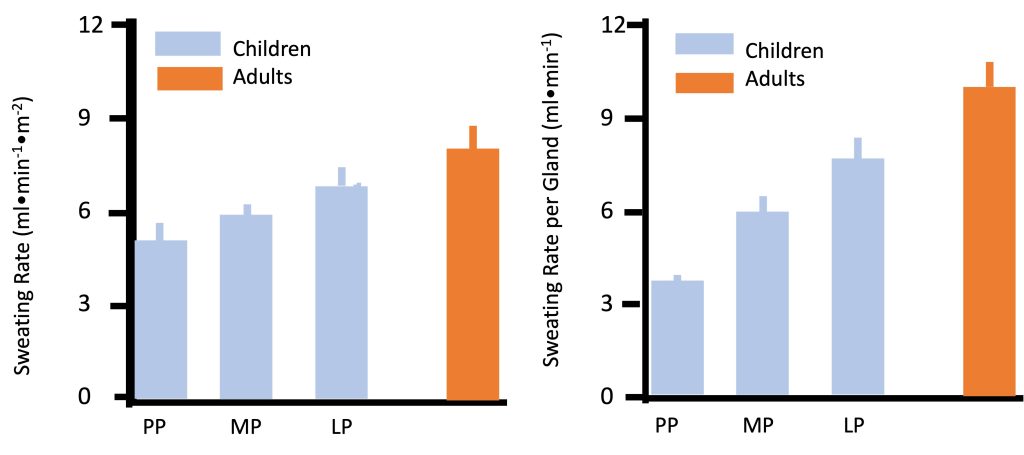 On the left is sweating rate expressed relative to body surface area and on the right is sweat rate expressed per sweat gland. Sweat rate in both cases increases from prepubertal to midpubertal and then late pubertal and adult. In both cases the change is iinear.