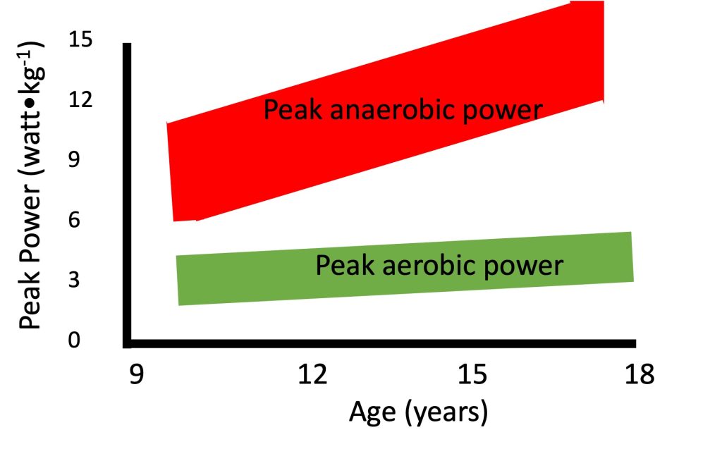 This graph shows peak aerobic power and peak anaerobic power as a range across ages 10 to 18 years. Values are given in watts per kilogram. peak aerobic power, in green, does not change much across this age range. Values range from 2 to 4 watts per kg at age 10 years and increase linearly to 3 to 5 watts per kg at age 18. Anaerobic power, in red, has a wider range and increases from 6 to 11 watts per kg at age 9 to 11 to 16 at age 18.