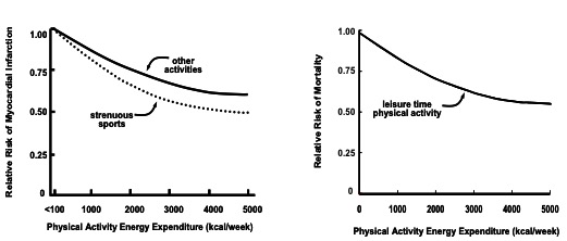 Two graphs are shown. The one of the left shows relative risk of myocardial infarction relative to physical activity, expressed in calories of energy expenditure. Two types of activity are considered; the top solid line is for "strenuous sports" and the dashed line represents "other activities". Both decline from a control value of 1.0 as kcal/week increases from <100 to 5000. The graph on the right has a similar x axis, but shows relative risk of mortality. Again the line decreases from 1 at <100 kcal/week, reaching 0.6 at 5000 kcal/week.