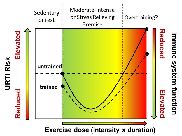 This is a very colourful graph showing the impact of exercise dose (intensity multiplied by duration) on risk of upper respiratory tract infection. Two groups are shown on the graph, untrained and trained. exercise dose is categorized as moderate to intense, or stress-relieving exercise, and overtraining; exercise that would cause extreme tiredness. Each group shows a J-shaped curve, decreasing at low (green background) to moderate (yellow background) intensities and increasing to high levels when the exercise reaches overtraining level (orange and red background). It is important to note that members of the trained group begin with reduced rist of UTRI at rest (no workout), and the difference between groups remains the same until they reach the overtraining category. Here, untrained increase more steeply than the trained.