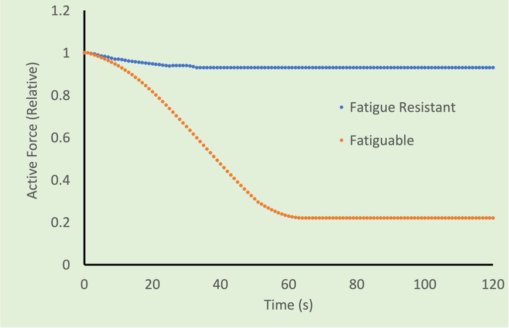 This graph shows the active force of repeat muscle contractions for two different individuals. In the first case, force is maintained well, falling just a small amount for the duration of the exercise. The end value for active force is close to .95 of the original active force. This is the fatigue index. In the second case, active force falls drmatically over the first 30-60 s, and remains at about 0.2 of the initial active force at the end of the task. The fatigue index is 0.2.