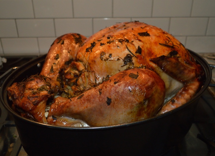 A cooked turkey still sitting in the roasting pan; looking browned and delicious.