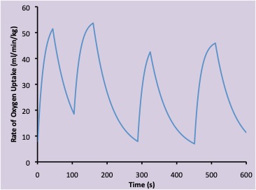 This graph shows the oxygen uptake of a hockey player as they go through 4 shifts on the ice, interrupted by rest breaks on the bench. Oxygen uptake rises while they are on the ice and falls exponentially while they are on the bench, giving a saw-tooth pattern. Ice time ranges from 40 s to just over a minute, so oxygen uptake never reaches a steady state.