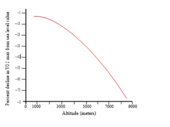 This graph shows the percent decline of maximal oxygen uptake with increasing altitude. At 1000 m of altitude (about the altitude of Calgary, Alberta), maximal oxygen uptake is reduced by 1-5%. This would be barely noticeable. However, the line sweeps downward in a curve as atlitude increases reaching -30% at 5000 m and -70% at 7500 m.