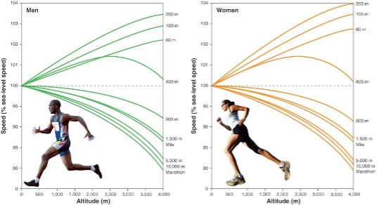 Two graphs, one for males (left) and one for females (right) illustrate the theoretical impact of altitutde on speed of running various distances from 100 m to marathon. The two graphs are quite similar, since sex does not affect the impact of altitude on performance. All lines originate at zero altitude and 100%, representing the speed at sea level. The speed for 200m only increases as altitude increases to 4000m and this line is slightly higher than the line for 100m which which reaches 103% and this is slightly higher than the line for 60m, which reaches 102%. The line for 400m is most interesting, with increases in performance as altitude increases to about 2500m, then performance declines, returning close to the speed at sea level by the time 4000 m altitude is reached. For the longer distances (800, 1500, 5000, 10000 and marathon, the line describing performance arcs downward with the magnitude of impact increasing with distance, slowing performance for the marathon to 80% of sea level speed at 4000m.