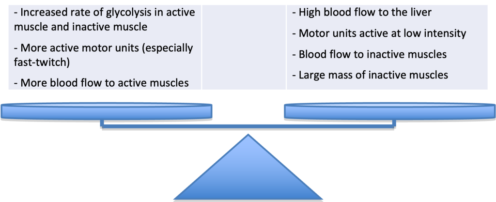 This diagram illustrates the factors that influence blood lactate concentration. Two lists appear on a balance. On the left are factors that increase lactate in the blood: increased rate of glycolysis in active and inactive muscle, more active motor units (especially fast-twitch) and more blood flow to active muscles. On the right: high blood flow to the liver, motor units active at low intensity, blood flow to inactive muscles, large mass of inactive muscles. Tilting the balance will increase or decrease blood lactate, depending on which side dominates.