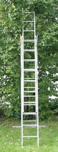 ladder