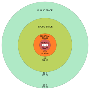 Halls proxemic theory picture