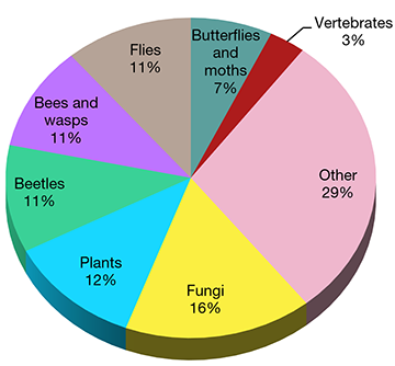 Pie chart of species percentages.