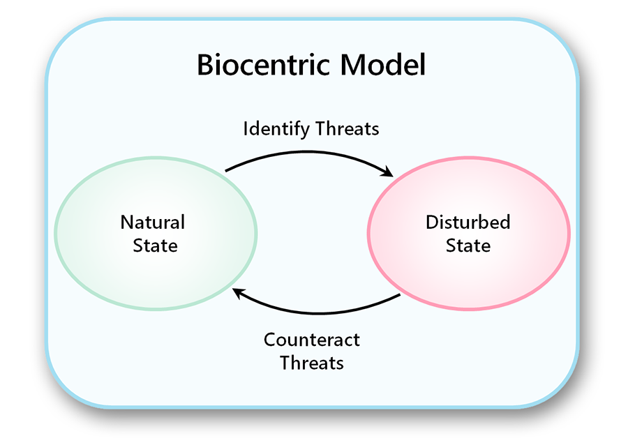 Diagram of the biotic model