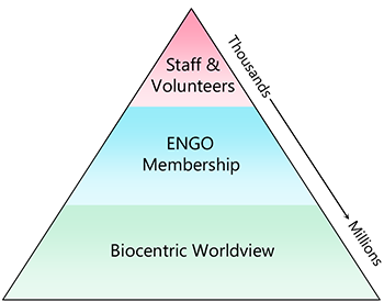 Pyramid diagram