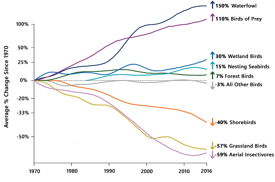 Population graph