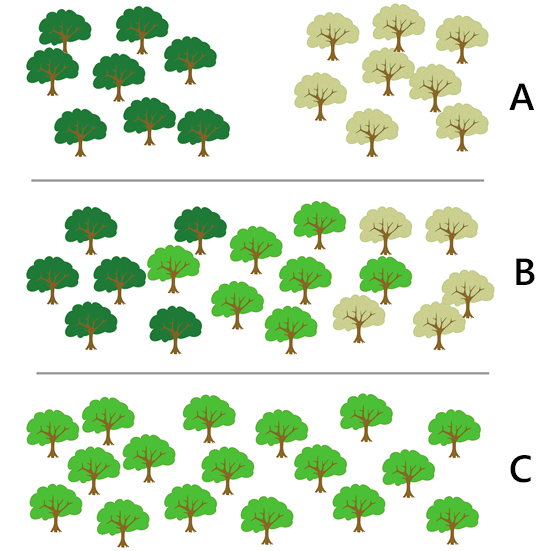 Gene distribution graphic