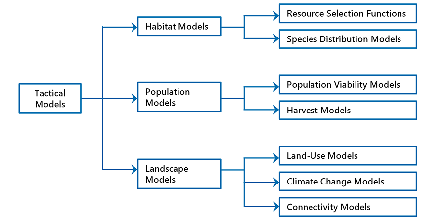 Diagram of model types