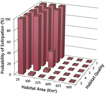 Graph of marten population trends.