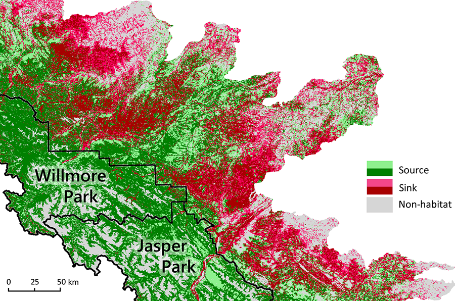 Source and sink habitat map.