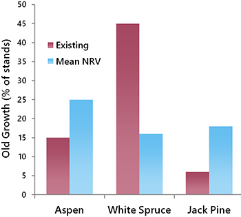 Graph of old-growth percentages