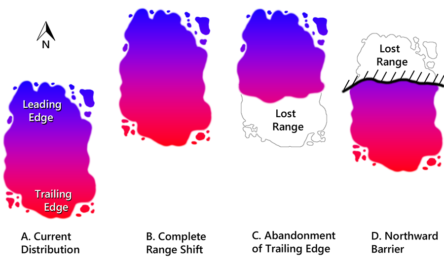 Diagram of range shifts