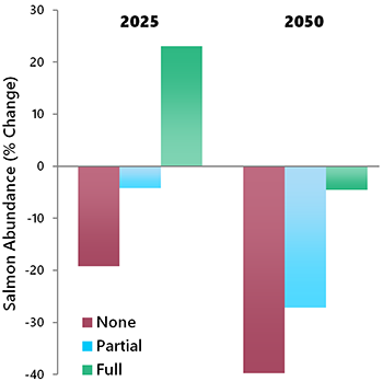 Graph of salmon abundance vs time